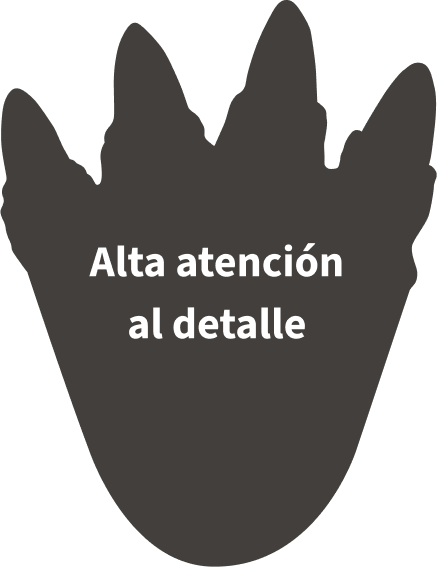 Alta atención al detalle