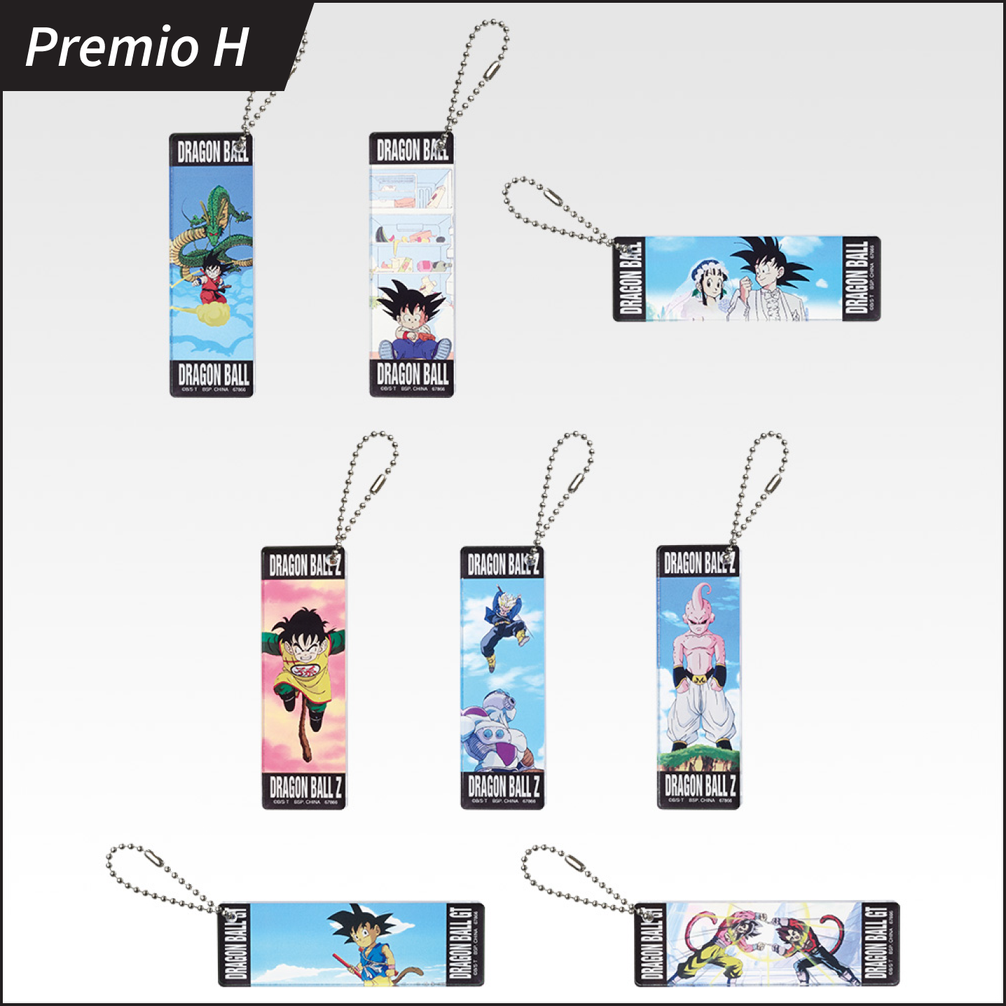 Premio H
